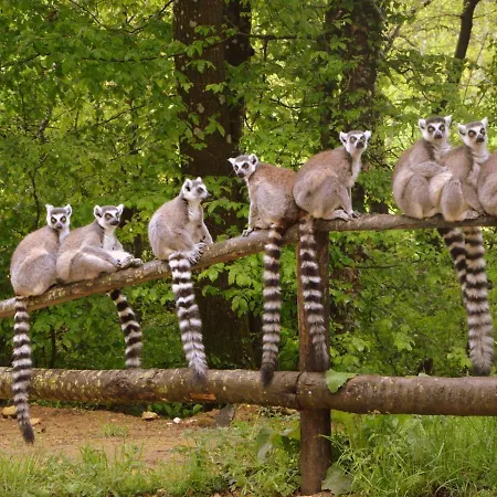 Villa With Garden Near Beautiful Golf Course