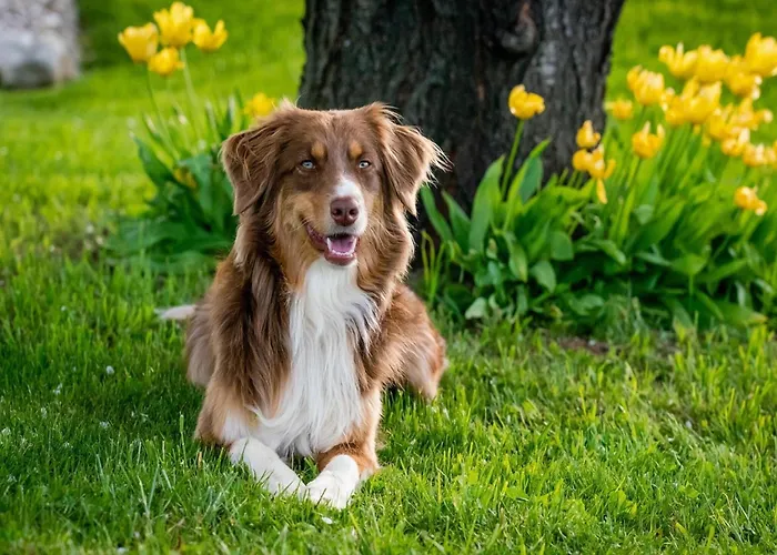 With Garden Near Beautiful Golf Course *